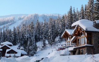 川藏线日记：探寻年轻人回归雪山牧场的故事与启示